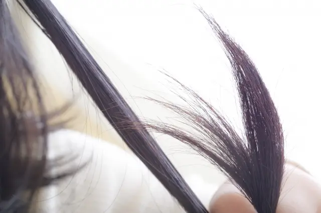 髪の毛を軽く引っ張って強度を確認するイメージ