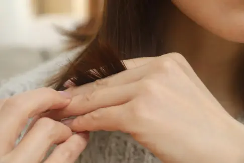 枝毛