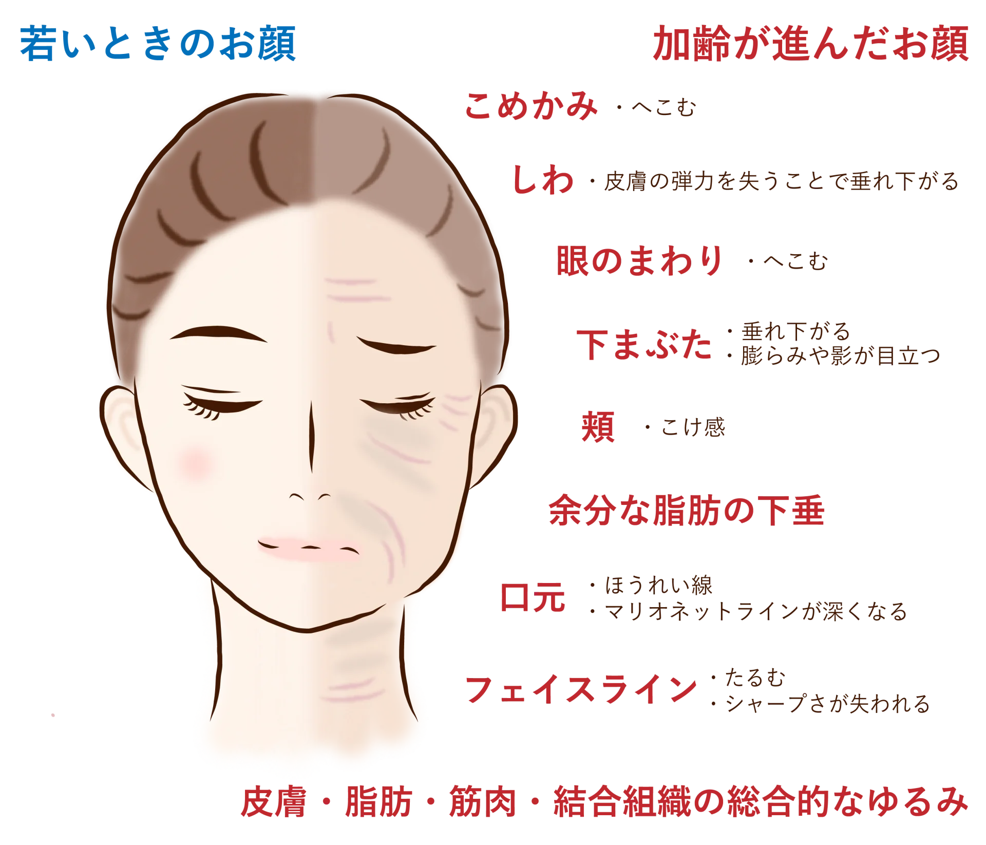 Illustration of aging face