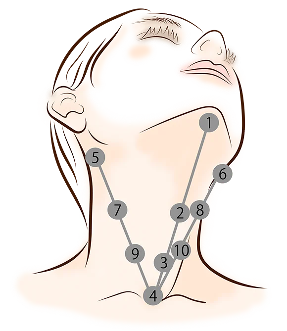 Under the chin to the neck