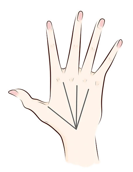 Back of the hand