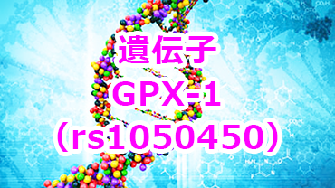 GPx-1遺伝子