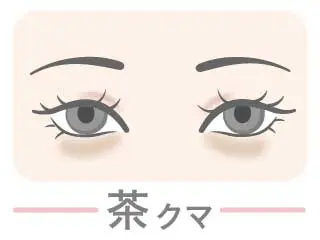 クマの種類_茶クマ