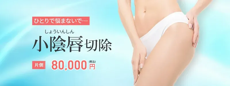 小陰唇切除バナー