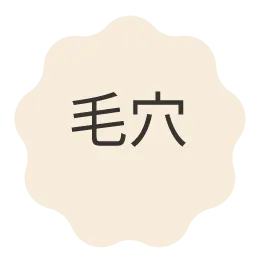 毛穴