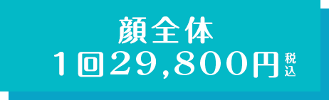 顔全体 1回 29,800円税込