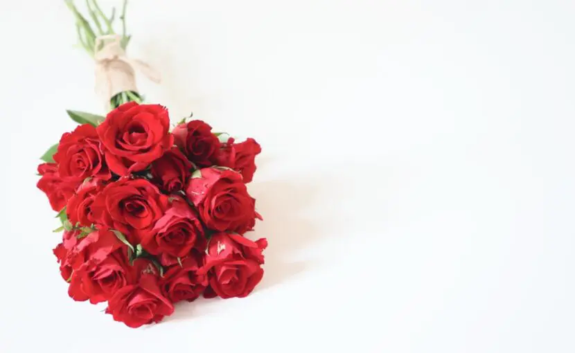 ヒロクリニックジベル薔薇色粃糠疹
