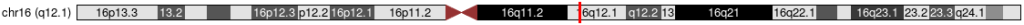 ABCC11