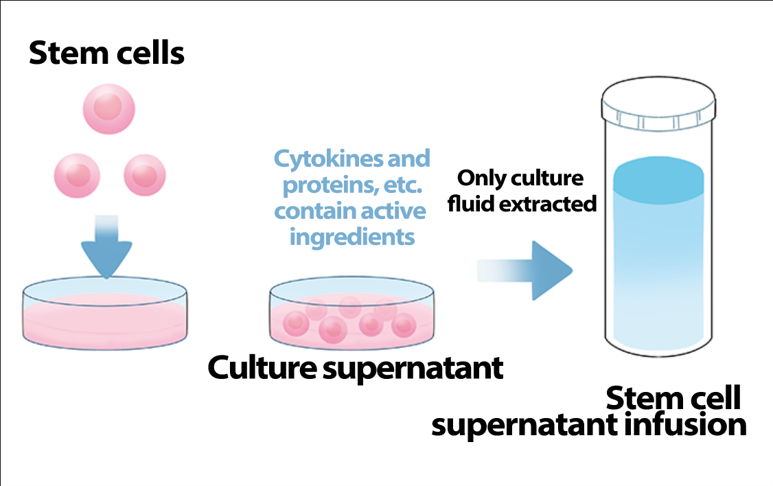 幹細胞培養上清液