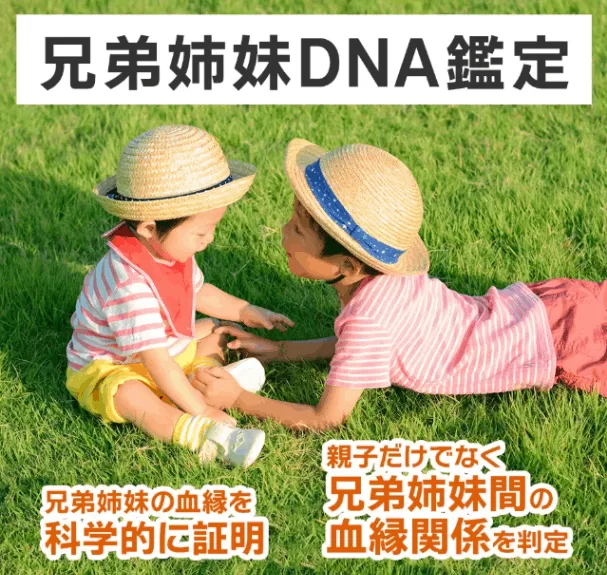 出生後全兄弟鑑定キット(私的及び法的に対応）3名用