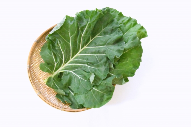 ケール　緑葉野菜