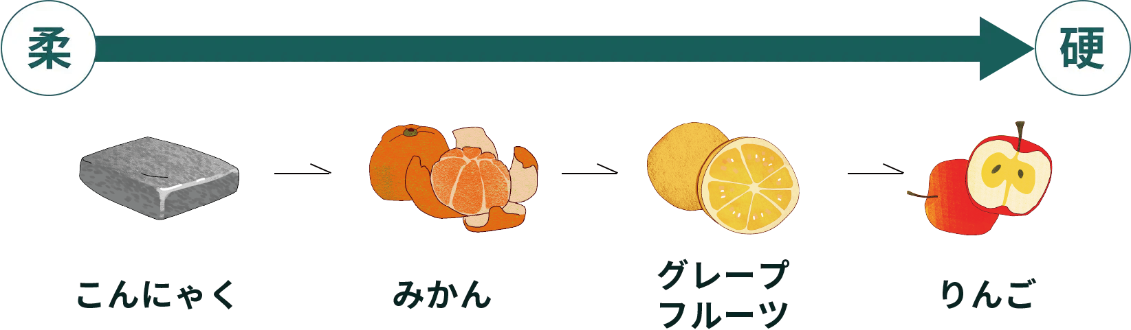 こんにゃく→みかん→グレープフルーツ→りんご