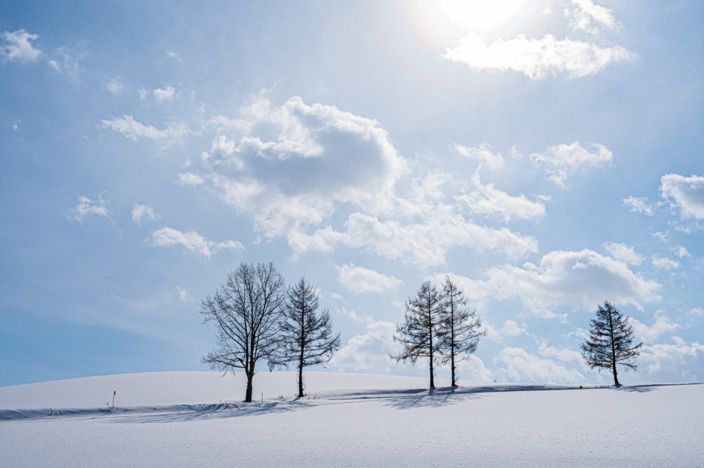 
冬の美瑛の風景