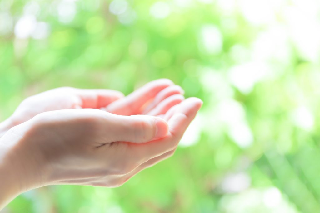 介護・福祉、エコイメージ