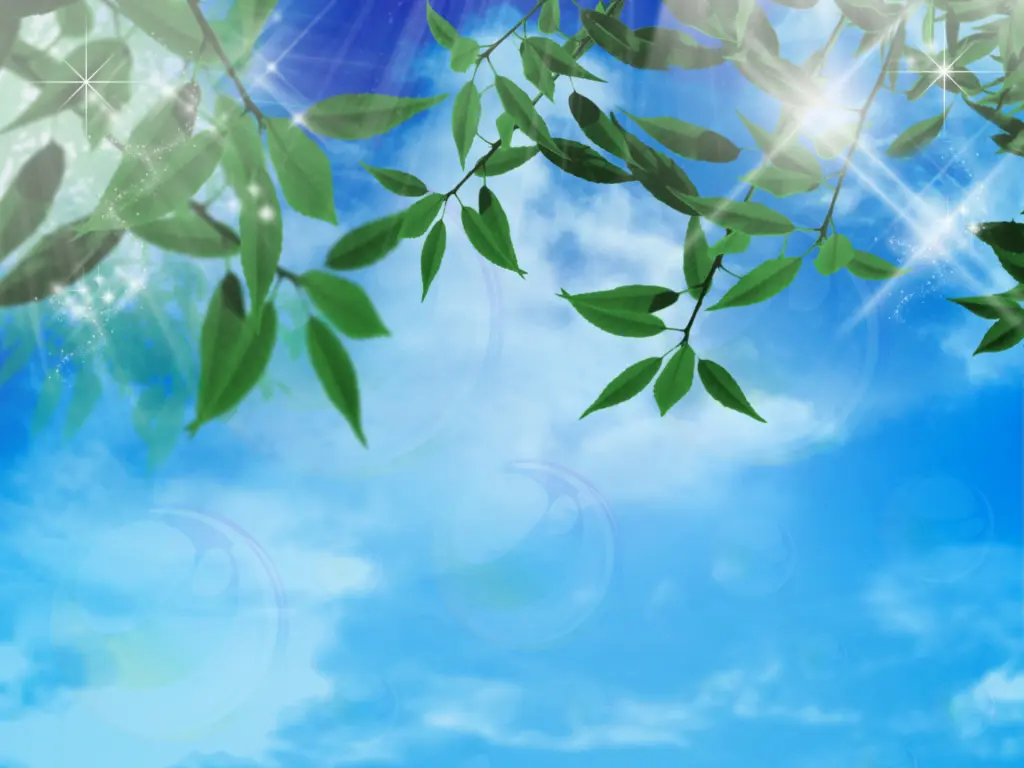葉と空04