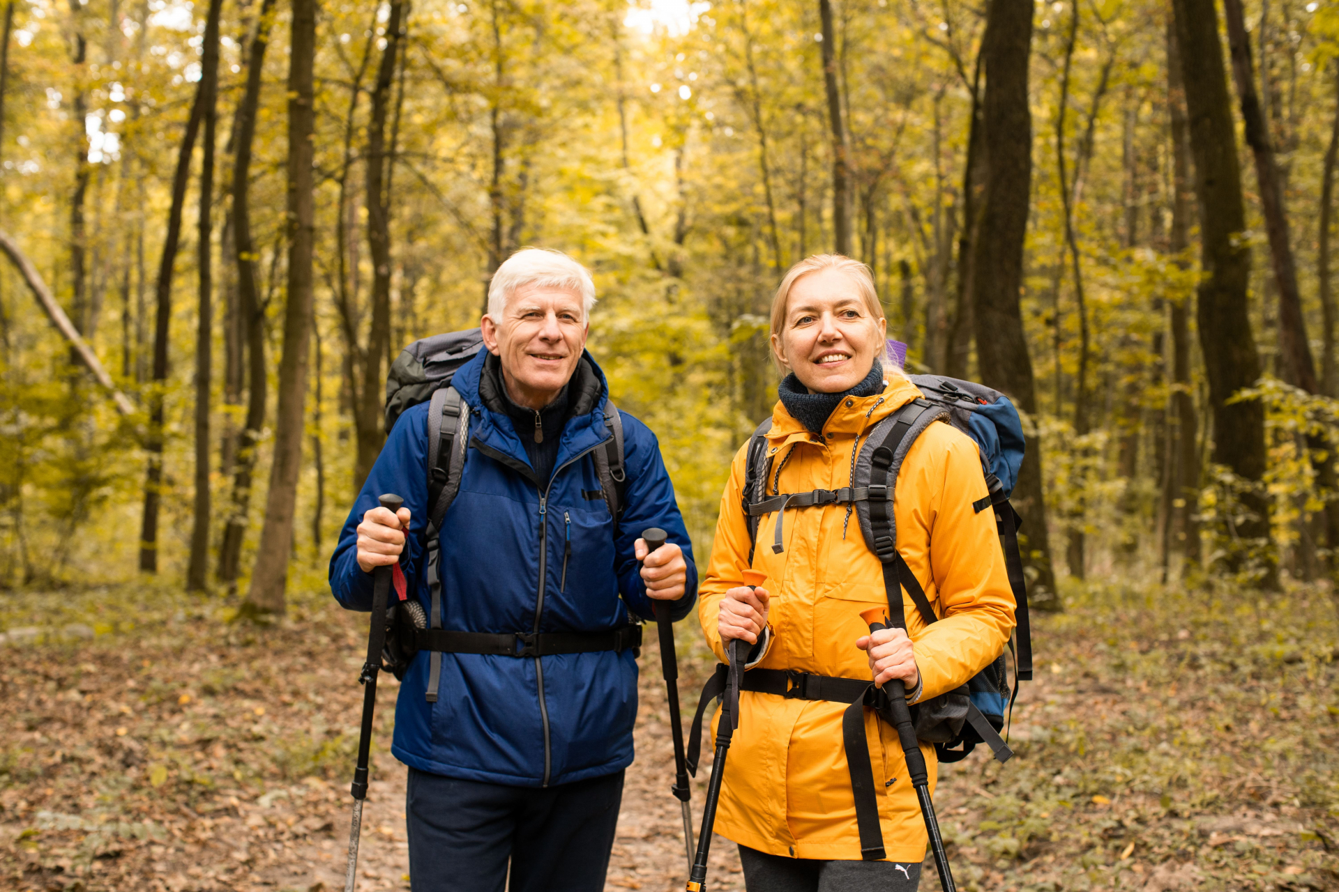 秋の森をトレッキングするシニア夫婦