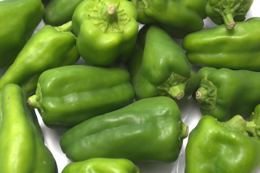 たくさんのピーマン