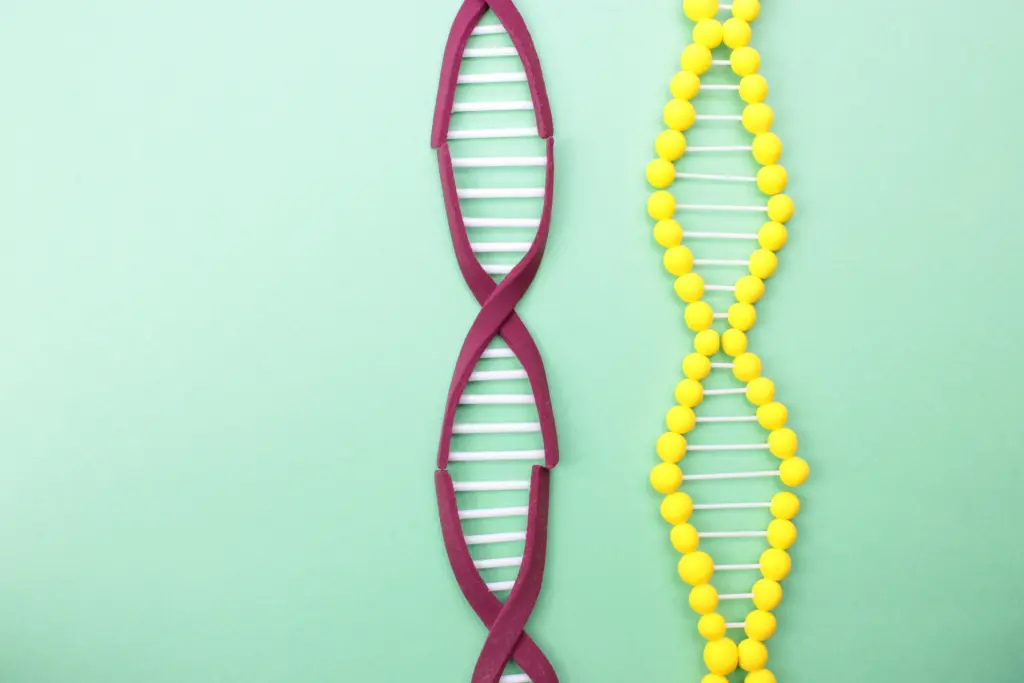 DNA45