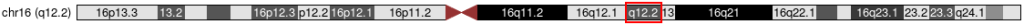 16q12.2
