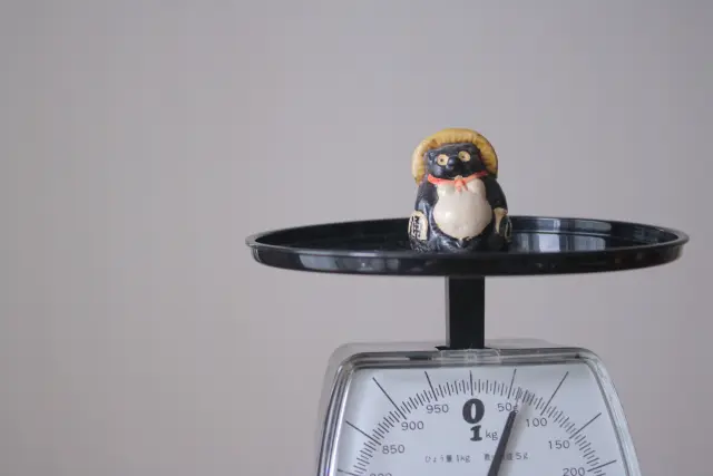 太ったぬき