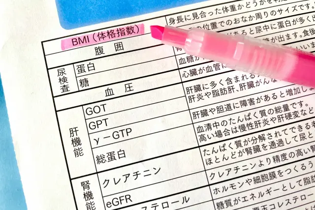 体格指数