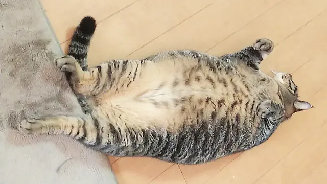 おぉ