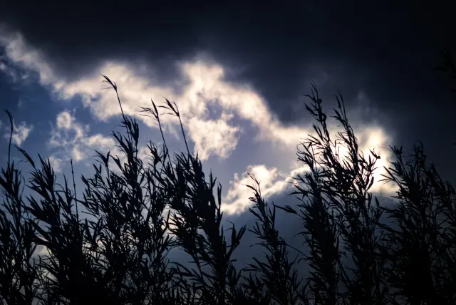暗い空