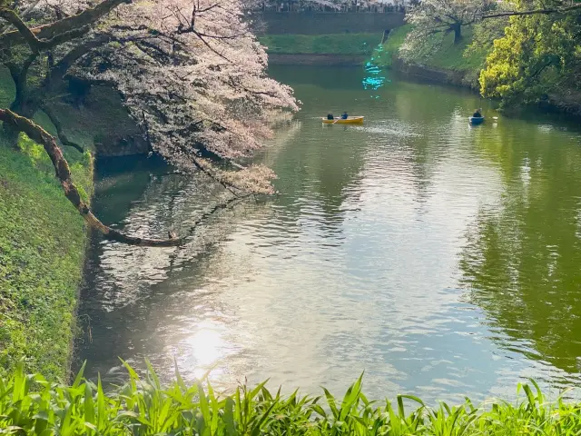 デート