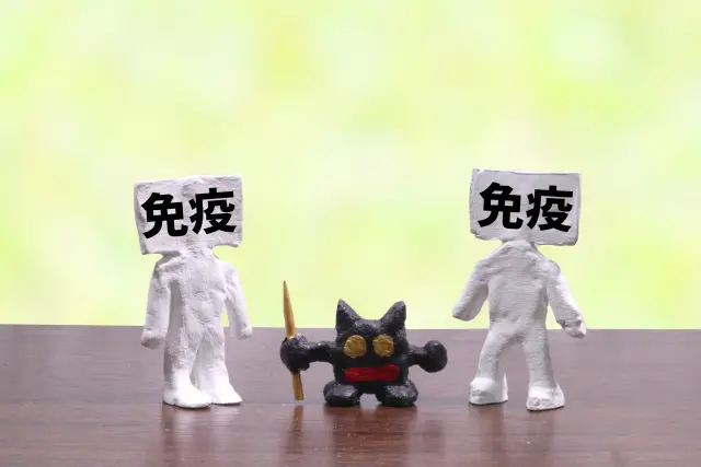 これは