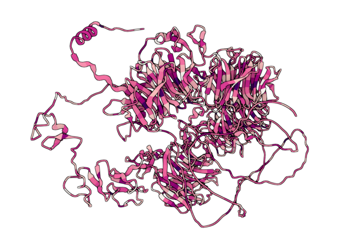 Low-density lipoprotein receptor-related protein 5
