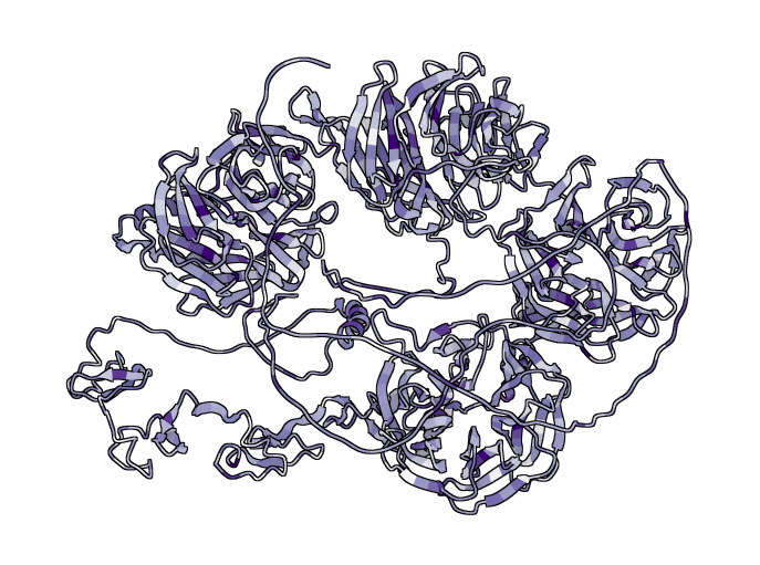 Low-density lipoprotein receptor-related protein 5