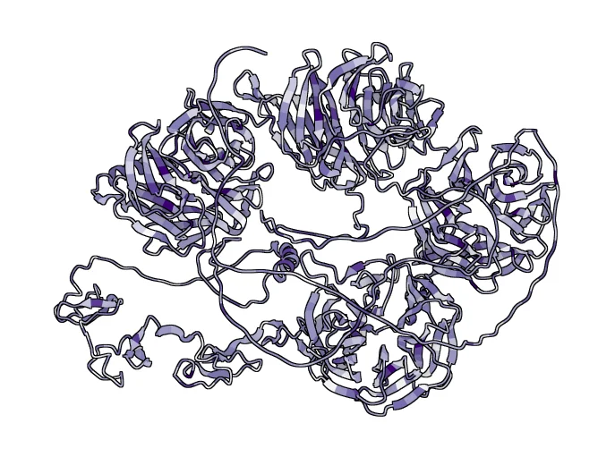 Low-density lipoprotein receptor-related protein 5