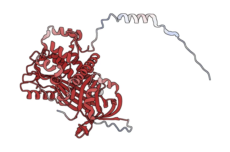 Angiotensinogen