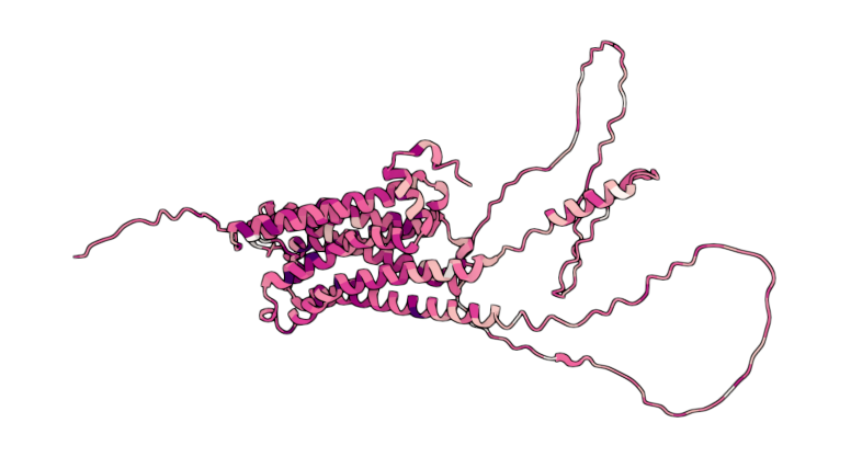 Muscarinic acetylcholine receptor M2
