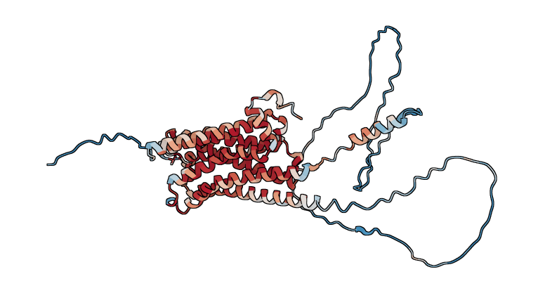 Muscarinic acetylcholine receptor M2