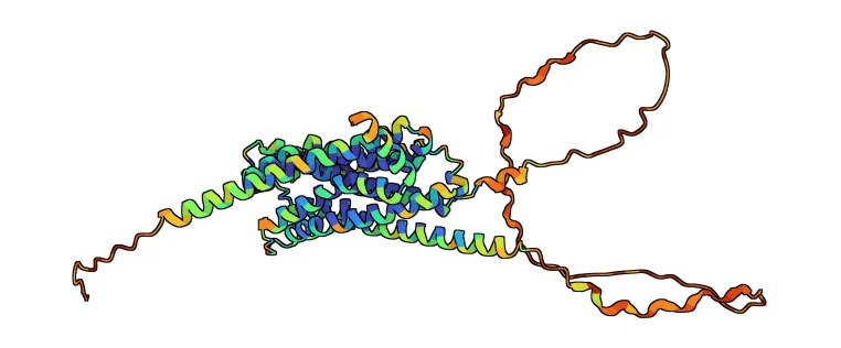 D(4) dopamine receptor