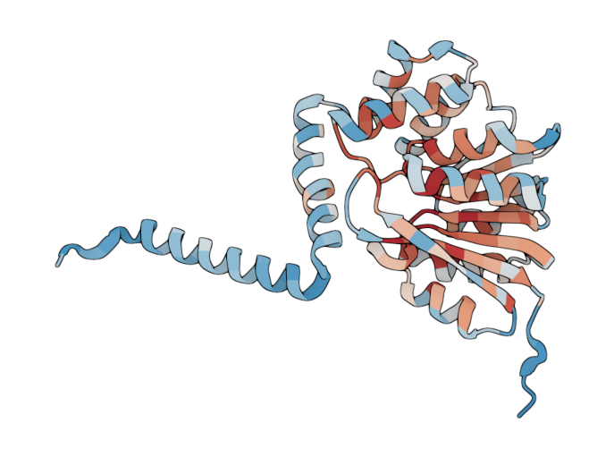 Catechol O-methyltransferase