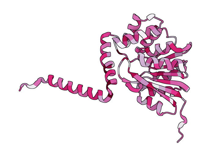 Catechol O-methyltransferase