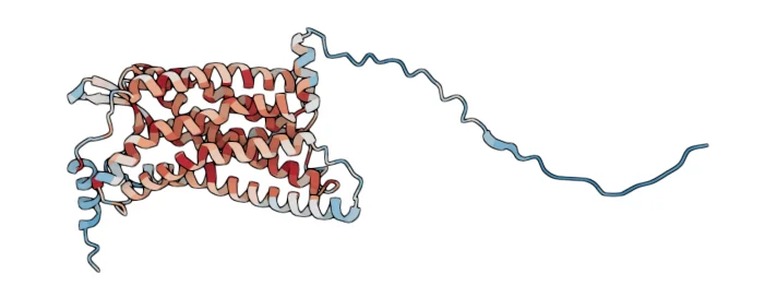 Type-1 angiotensin II receptor
