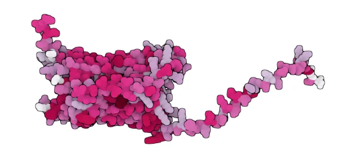 Type-1 angiotensin II receptor