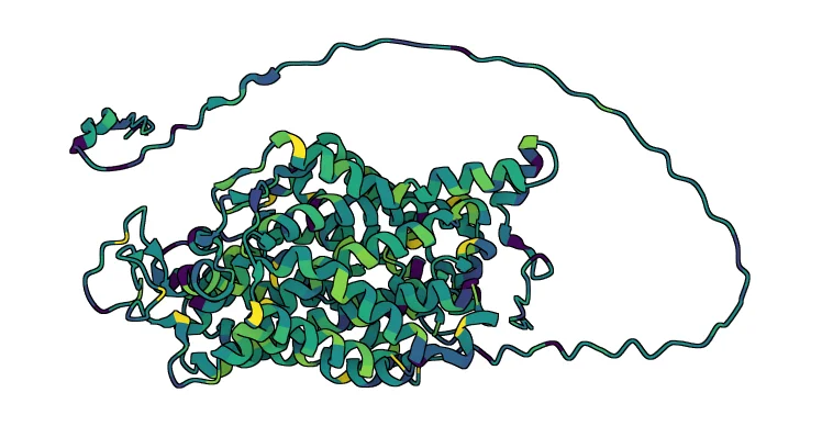Sodium-dependent serotonin transporter
