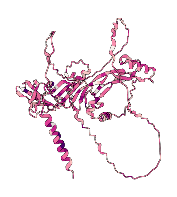 Growth/differentiation factor 5
