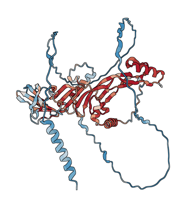 Growth/differentiation factor 5