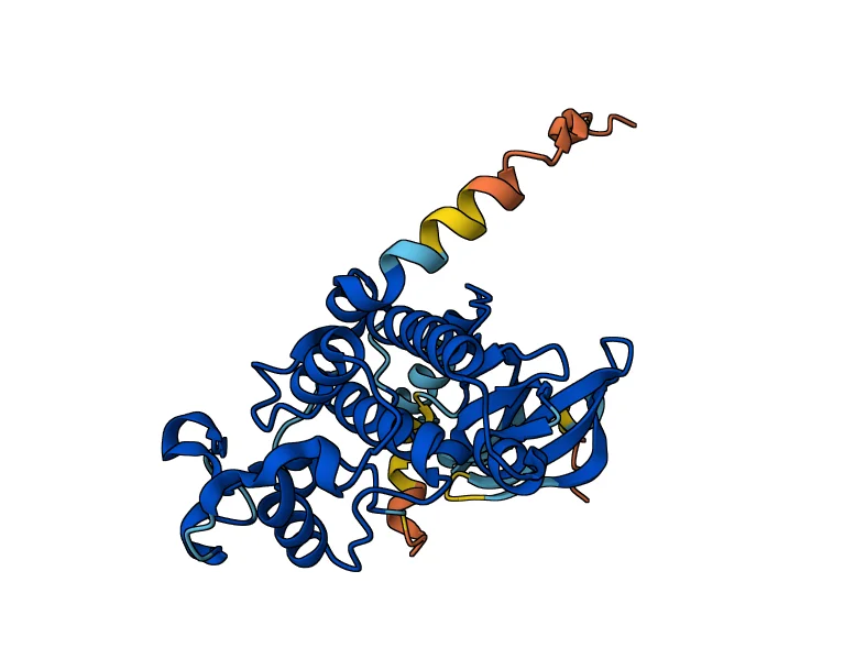 Cyclin-dependent kinase 6