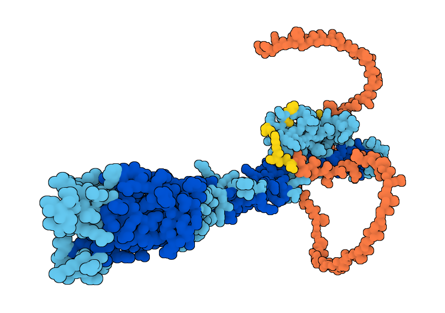 EGF-containing fibulin-like extracellular matrix protein 1