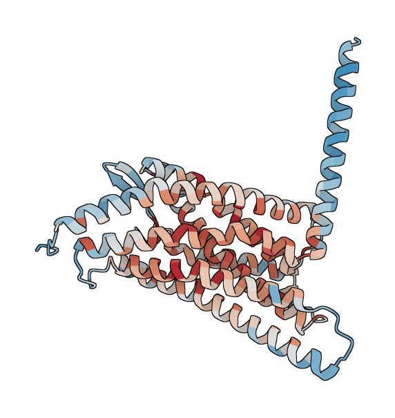 Succinate receptor 1