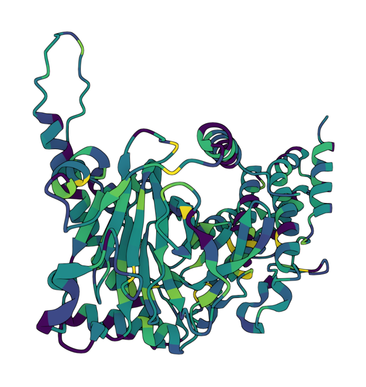 Alpha-ketoglutarate-dependent dioxygenase FTO