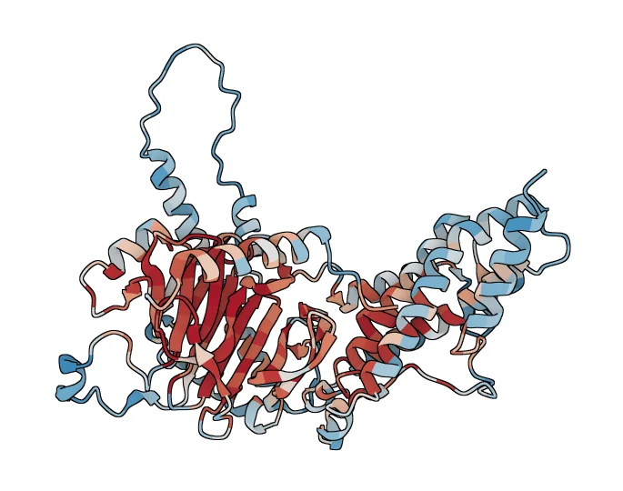 Alpha-ketoglutarate-dependent dioxygenase FTO