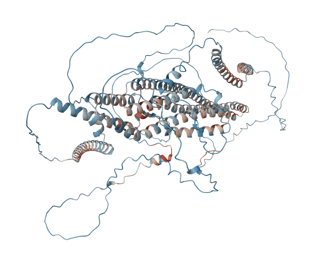Disrupted in schizophrenia 1 protein