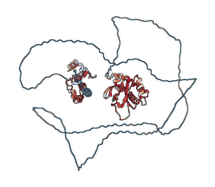 CDKN2A-interacting protein